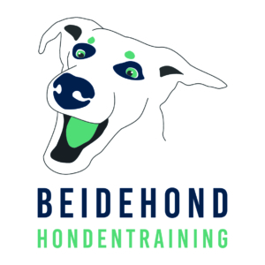 Beidehond hondentraining